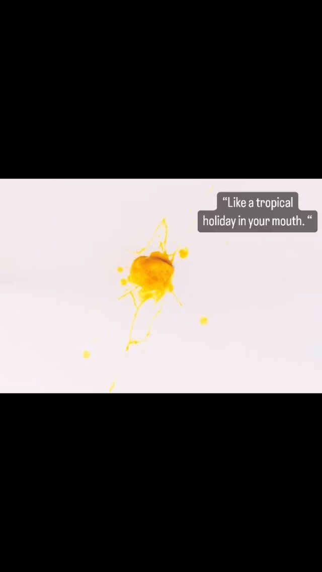 Mango Sorbet is here for summer! Perfectly refreshing for those hot days. It’s dairy-free, gluten-free and coming soon to your local purveyor of fine frozen desserts. If they don’t have it please ask them to get it!! @promcoasticecream #sorbet #dairyfree #glutenfree #mango #mangosorbet #southgippsland #wilsonspromontory #localbusiness #summerflavours