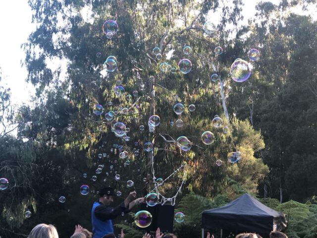 Bubbles, bands, Burra Brewing beer and the best ice creams! @coalcreekcommunityparkmuseum @promcoasticecream @burrabrewing The first gig in the Coal Creek Summer Series was fantastic last night with perfect weather. #junglejimsmith #ozonestreet #nickcarverandthemeanstbutchers #coalcreek #korumburra #summermusic #localmusic #southgippsland #localicecream #sorbet