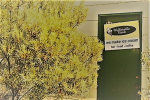 Walkerville Kiosk