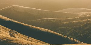 Prom Coast Ice Cream Hills